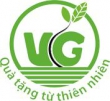 Công Ty TNHH Chăm Sóc Sức Khỏe VG Việt Nam